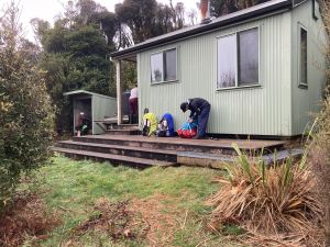 Image of pureorajun24a.jpg