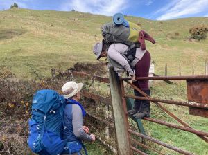 Image of pureorajun24c.jpg