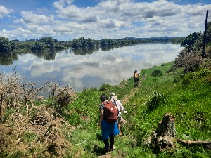 Image of rangiririnov25b.jpg