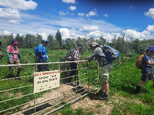 Image of rangiririnov25e.jpg