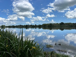 Image of rangiririnov25h.jpg