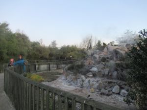 Image of rotoruajun24a.jpg