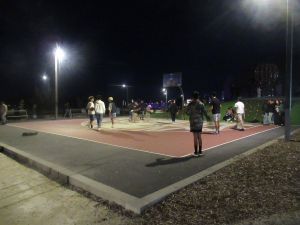 Image of rotoruajun24c.jpg