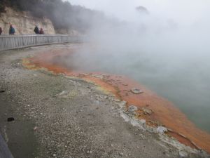 Image of rotoruajun24f.jpg