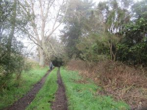 Image of rotoruajun24n.jpg