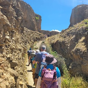 Image of summertramps25alexandraa.jpg