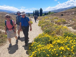 Image of summertramps25alexandrae.jpg