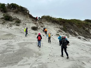 Image of summertramps25dunedinc.jpg