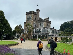 Image of summertramps25dunedinf.jpg