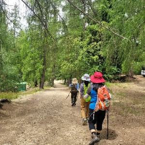 Image of summertramps25nasebyb.jpg