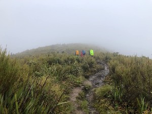 Image of summertramps25silverpeaksc.jpg