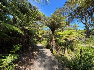 Image of sunnynookdec25a.jpg