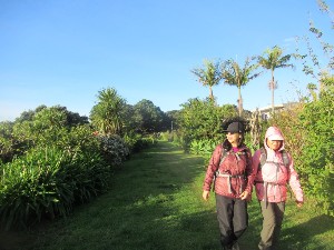 Image of taurangajun25c.jpg