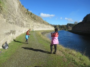 Image of taurangajun25e.jpg