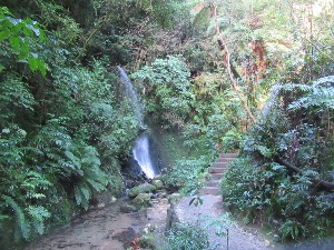 Image of taurangajun25h.jpg