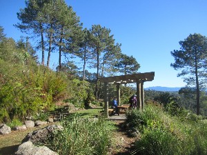 Image of taurangajun25i.jpg