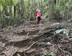 Image of tearohaoct25b.jpg