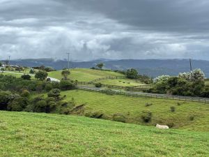 Image of tehengadec24a.jpg