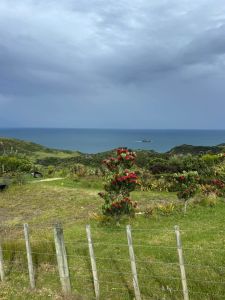 Image of tehengadec24b.jpg