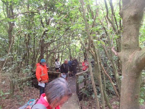 Image of tiritirisep25b.jpg