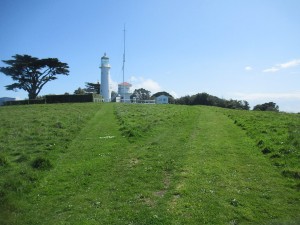 Image of tiritirisep25g.jpg