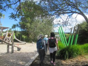 Image of titirangipaddy24a.jpg