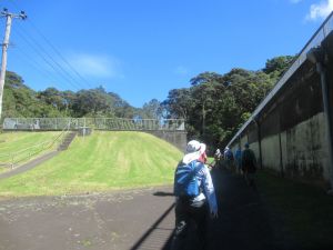 Image of titirangipaddy24e.jpg