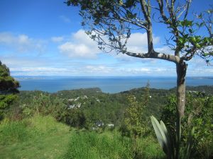 Image of titirangipaddy24g.jpg