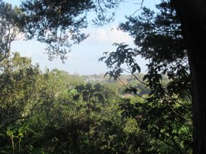 Image of totarapark24d.jpg