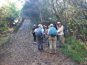 Image of waihekejul25a.jpg