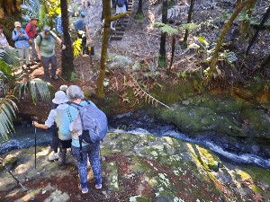 Image of waihekejul25c.jpg