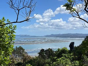 Image of waikowhainov25e.jpg