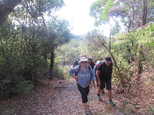 Image of waikumetemar25a.jpg