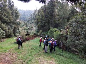 Image of waingarojul24j.jpg