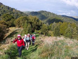 Image of waingarojul24k.jpg