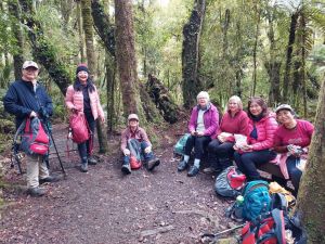 Image of waingarojul24t.jpg