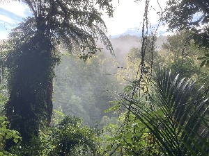 Image of wairoacosseysjun25a.jpg