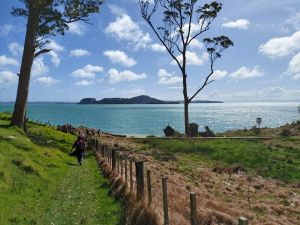 Image of waitawaoct24a.jpg