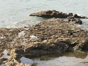 Image of waterfrontjun24e.jpg