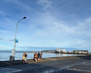 Image of wellingtonapr25a.jpg