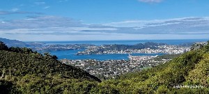 Image of wellingtonapr25f.jpg