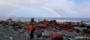 Image of wellingtonapr25g.jpg