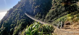 Image of wellingtonapr25k.jpg