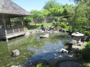 Image of westmerenov24m.jpg