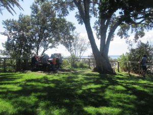 Image of westmerenov24o.jpg