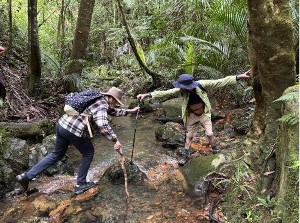 Image of whangareijun25d.jpg