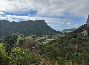 Image of whangareijun25e.jpg