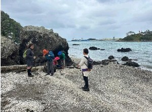 Image of whangareijun25f.jpg