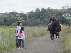 Image of whitfordapr24d.jpg