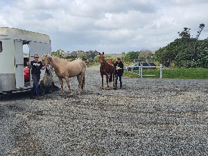 Image of whitfordsep25a.jpg